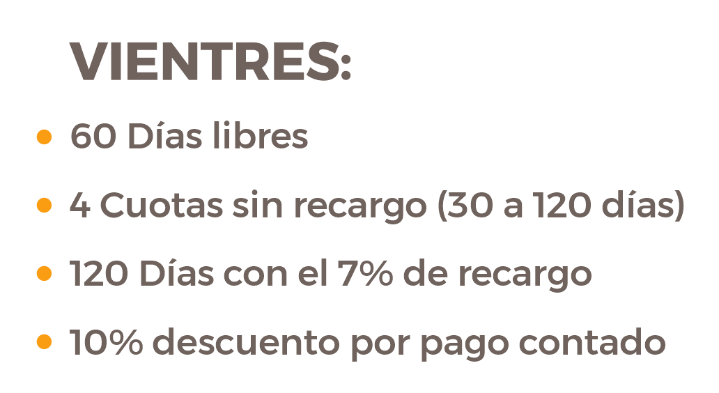 vientres